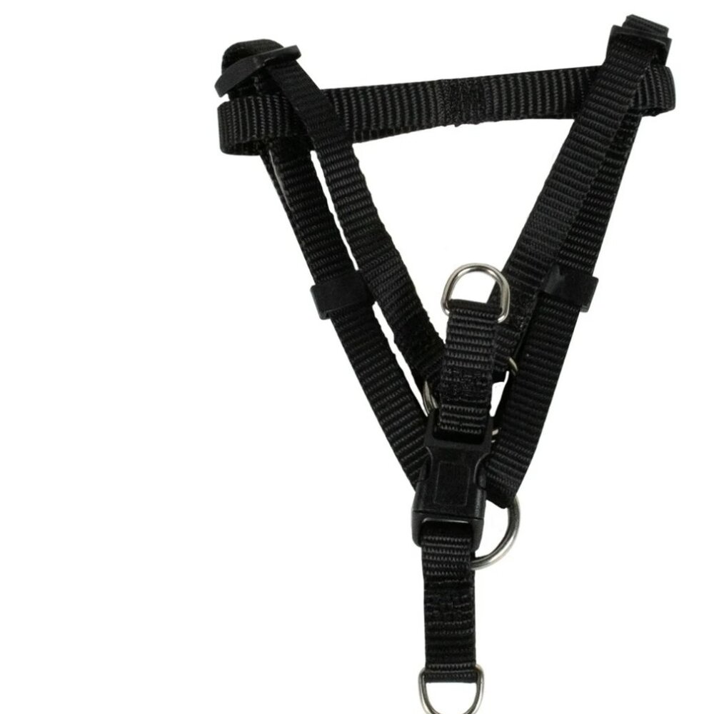 Vibrant Life Nylon Step-in Dog Harness, Black, S